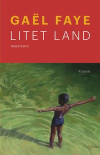 Litet land (e-bok)