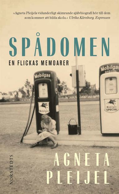 Sp�domen : en flickas memoarer
