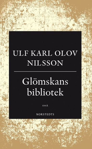 Glmskans bibliotek : en ess om demens, vansinne och litteratur (hftad)