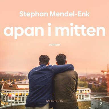 Apan i mitten (ljudbok)