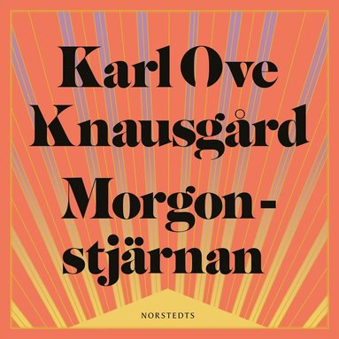 Morgonstjrnan (e-bok)