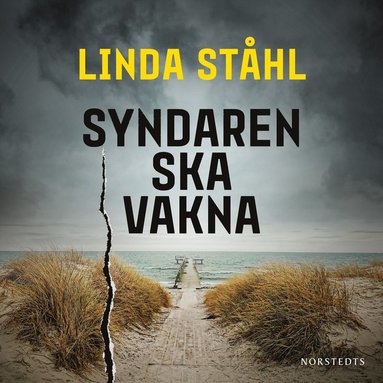 Syndaren ska vakna (inbunden)