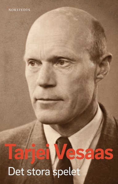 Det stora spelet (hftad)