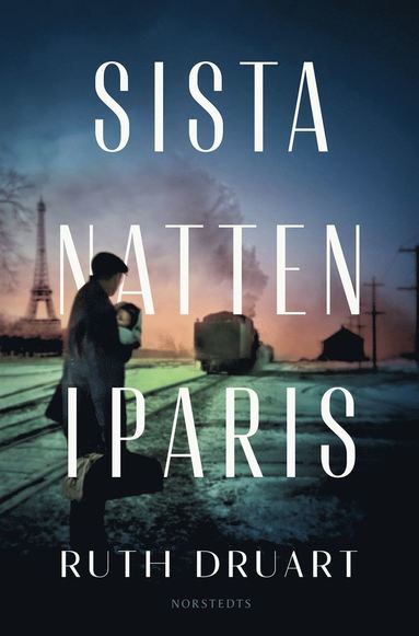 Sista natten i Paris (e-bok)