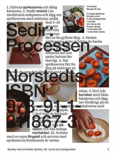 Sedir: Processen (häftad)