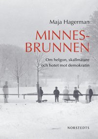 Minnesbrunnen : om helgon, skallmtare och hotet mot demokratin (inbunden)