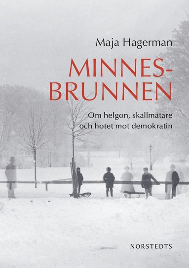 Minnesbrunnen : om helgon, skallmtare och hotet mot demokratin (inbunden)