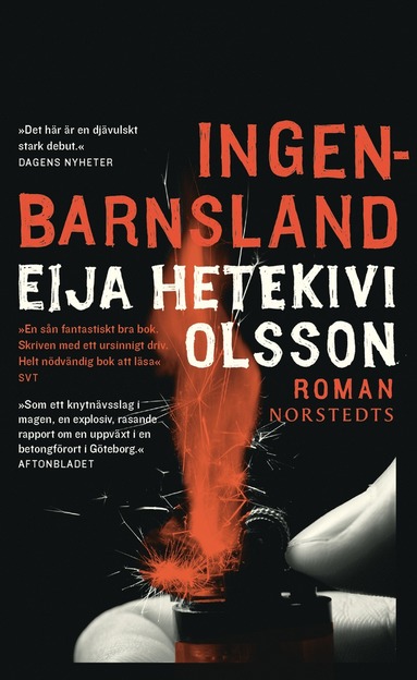 Ingenbarnsland (e-bok)
