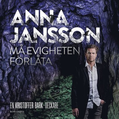 M evigheten frlta (e-bok)