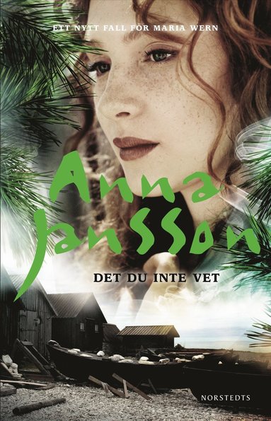 Det du inte vet (inbunden)