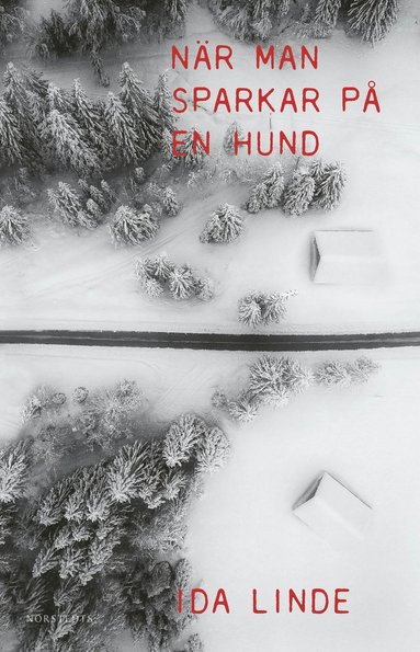 N�r man sparkar p� en hund (inbunden)