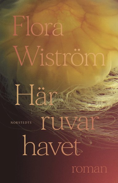 Hr ruvar havet (inbunden)