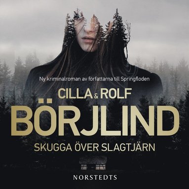 Skugga ver Slagtjrn (ljudbok)
