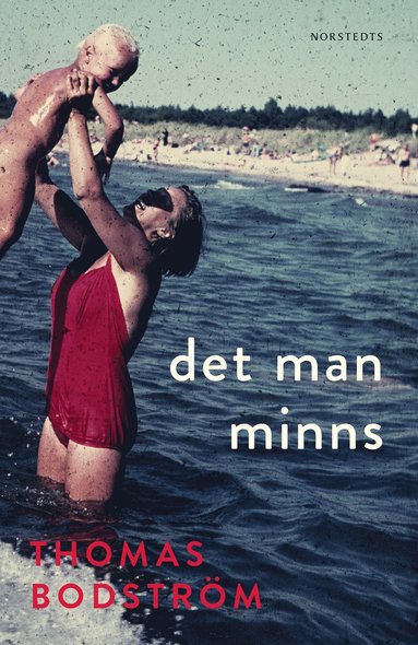 Det man minns (pocket)