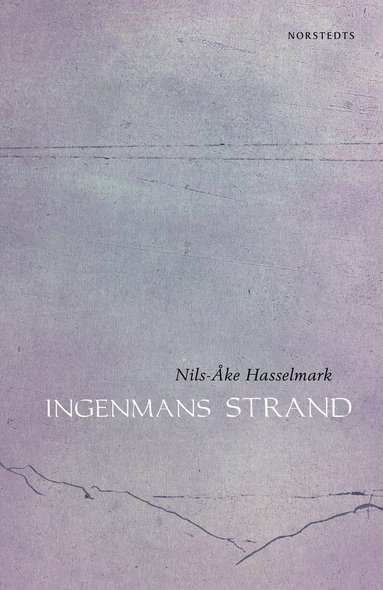Ingenmans strand (e-bok)