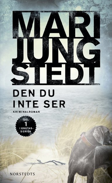 Den du inte ser (h�ftad)