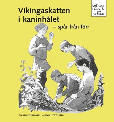 Läs och förstå Vikingaskatten i kaninhålet (kartonnage)