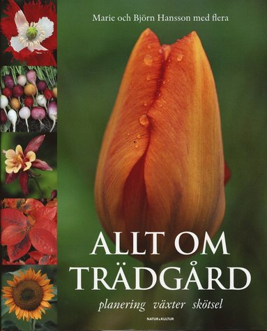Allt om trädgård : planering, växter, skötsel (inbunden)