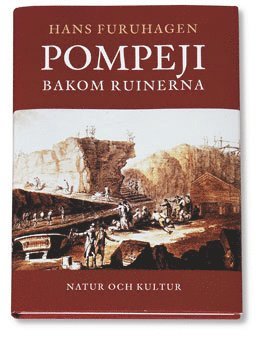 Pompeji bakom ruinerna (pocket)