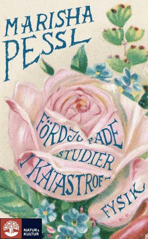 Fördjupade studier i katastroffysik (pocket)