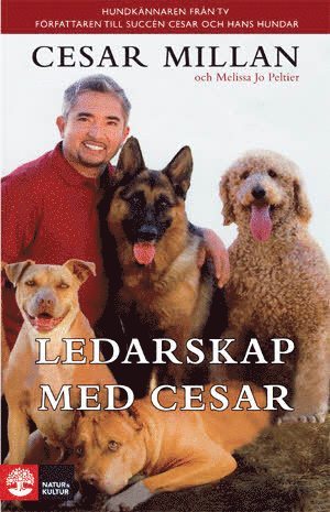Ledarskap med Cesar (häftad)