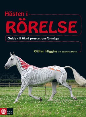 Hsten i rrelse : guide till kad prestationsfrmga (inbunden)