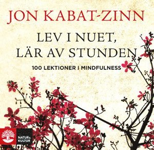 Lev i nuet, lr av stunden : 100 lektioner i mindfulness (hftad)