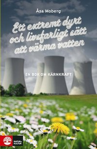 Ett extremt dyrt och livsfarligt sätt att värma vatten: En bok om kärnkraft (e-bok)