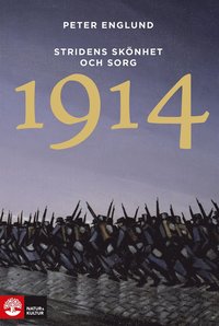 Stridens sknhet och sorg 1914 (e-bok)