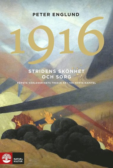 Stridens sknhet och sorg 1916 (e-bok)