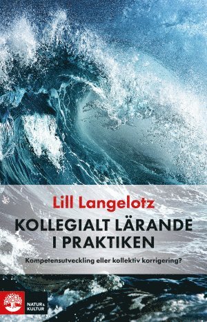 Kollegialt lrande i praktiken : kompetensutveckling eller kollektiv korrigering? (inbunden)