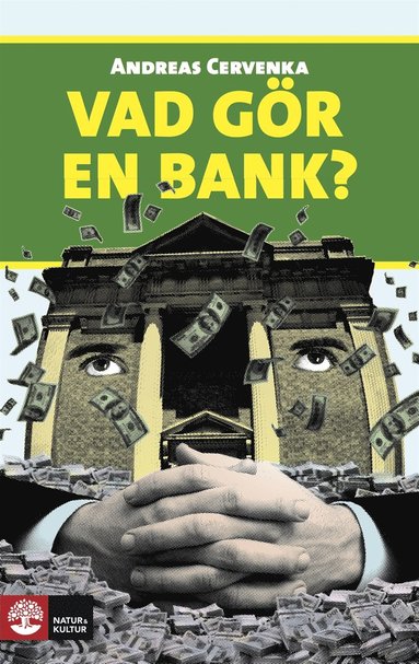 Vad gr en bank? (e-bok)