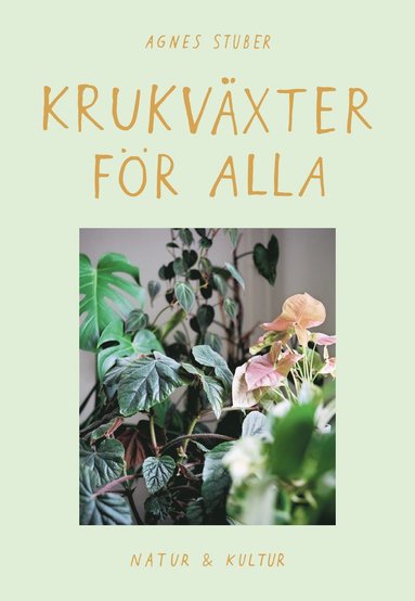 Krukväxter för alla (kartonnage)