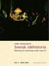 Svensk idhistoria 2 (hftad)