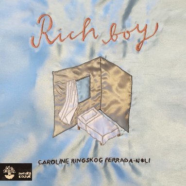 Rich boy (e-bok)