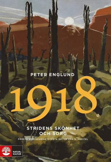 Stridens sknhet och sorg 1918 (e-bok)