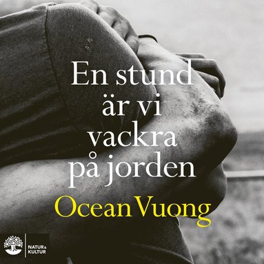 En stund r vi vackra p jorden (e-bok)