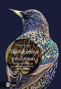 Skönhetens evolution : hur Darwins bortglömda teori om det sexuella urvalet formar djurriket - och oss (inbunden)