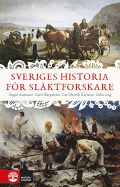 Sveriges historia fr slktforskare (e-bok)