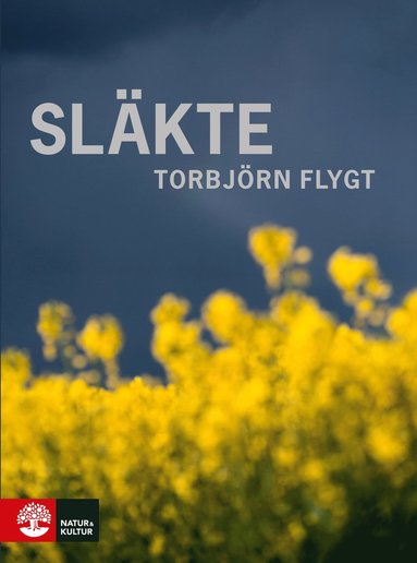 Slkte (pocket)