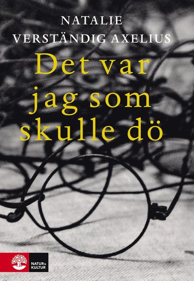 Det var jag som skulle dö (pocket)
