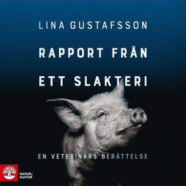 Rapport frn ett slakteri : en veterinrs berttelse (ljudbok)