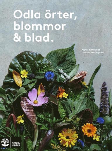 Odla �rter, blommor & blad (e-bok)