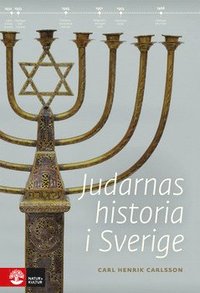 Judarnas historia i Sverige (e-bok)