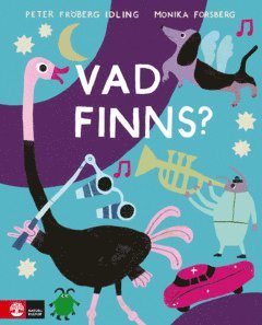 Vad finns? (pocket)