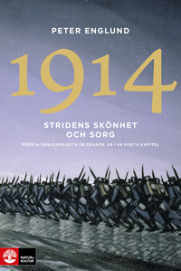 Omslag för Stridens skönhet och sorg 1914 : första världskrigets inledande år i 68 korta kapitel