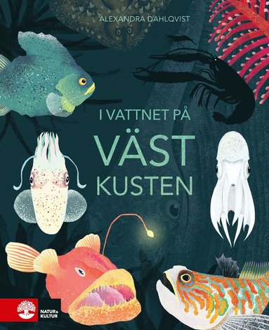 I vattnet p vstkusten (inbunden)