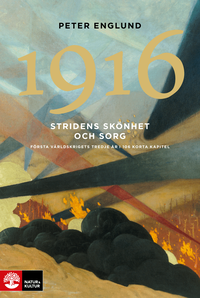 Omslag för Stridens skönhet och sorg 1916 : första världskrigets tredje år i 106 korta kapitel