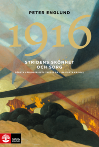 Stridens sknhet och sorg 1916 : frsta vrldskrigets tredje r i 106 korta kapitel (pocket)