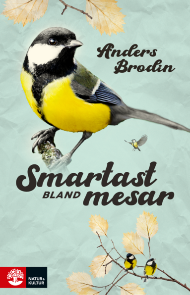 Smartast bland mesar (pocket)